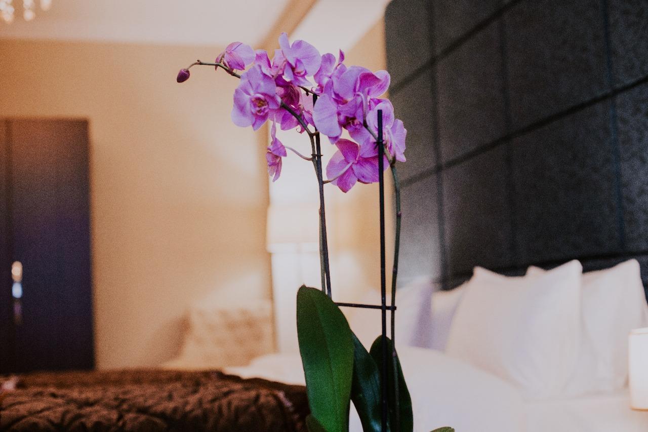 Viva Boutique Hotel Баку Экстерьер фото
